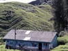 Malaysia Cameron Highlands Picture
