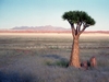 Namibia Picture