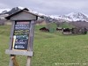 Switzerland Grindelwald Picture