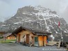 Switzerland Grindelwald Picture
