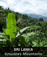 Highlights - Sri Lanka - Knuckles Mountains