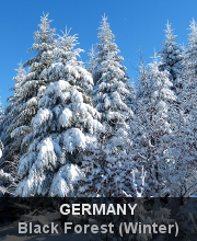 Highlights - Germany - Black Forest