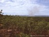 Australia - Northern Territory - Picture