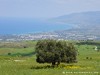 Cyprus Country Picture