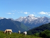 France Pyrenees Picture