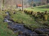 Germany Black Forest (Spring) Picture
