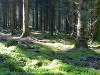Germany Black Forest (Summer) Picture
