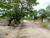 Malawi Country Picture