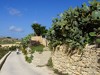 Malta Gozo Picture