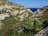 Malta Gozo Picture