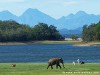 Sri Lanka Kaudulla National Park Picture