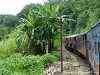 Sri Lanka Train Picture