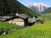 Switzerland Binntal Picture