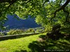 Switzerland Ernen (Spring) Picture