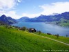 Switzerland Vierwaldstaettersee Picture
