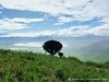 Tanzania Ngorongoro Picture