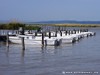 Austria Neusiedl Picture