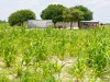 Namibia Caprivi Picture