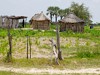 Namibia Caprivi Picture