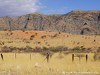 Namibia Country Picture