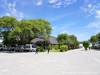 Namibia Etosha Picture