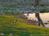 Namibia Etosha Picture