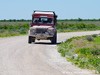 Namibia Etosha Picture