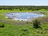 Namibia Etosha Picture