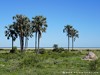 Namibia Etosha Picture