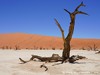 Namibia Namib Picture