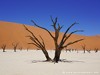 Namibia Namib Picture