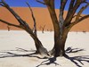 Namibia Namib Picture