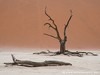 Namibia Namib Picture
