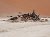 Namibia Namib Picture