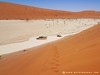 Namibia Namib Picture