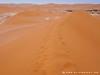 Namibia Namib Picture