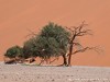 Namibia Namib Picture
