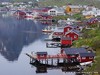 Norway Reine Picture