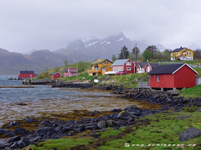 Norway Selfjord Picture