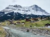 Switzerland Grindelwald Picture