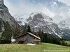 Switzerland Grindelwald Picture