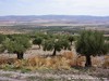 Tunisia Dougga Picture