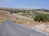 Tunisia Dougga Picture