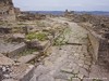 Tunisia Dougga Picture