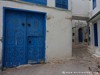 Tunisia Said Picture