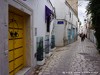 Tunisia Tunis Picture