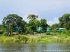 Zambia Sambesi Picture